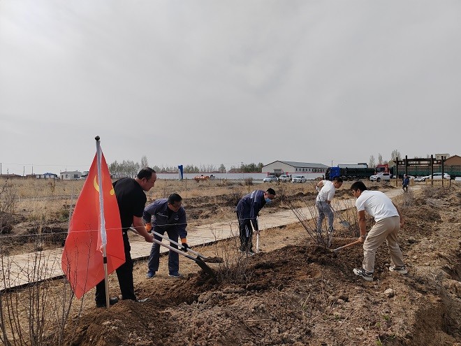 額鹽公司組織開(kāi)展“凝心聚力促發(fā)展，實(shí)干擔(dān)當(dāng)建新功”植樹(shù)活動(dòng)