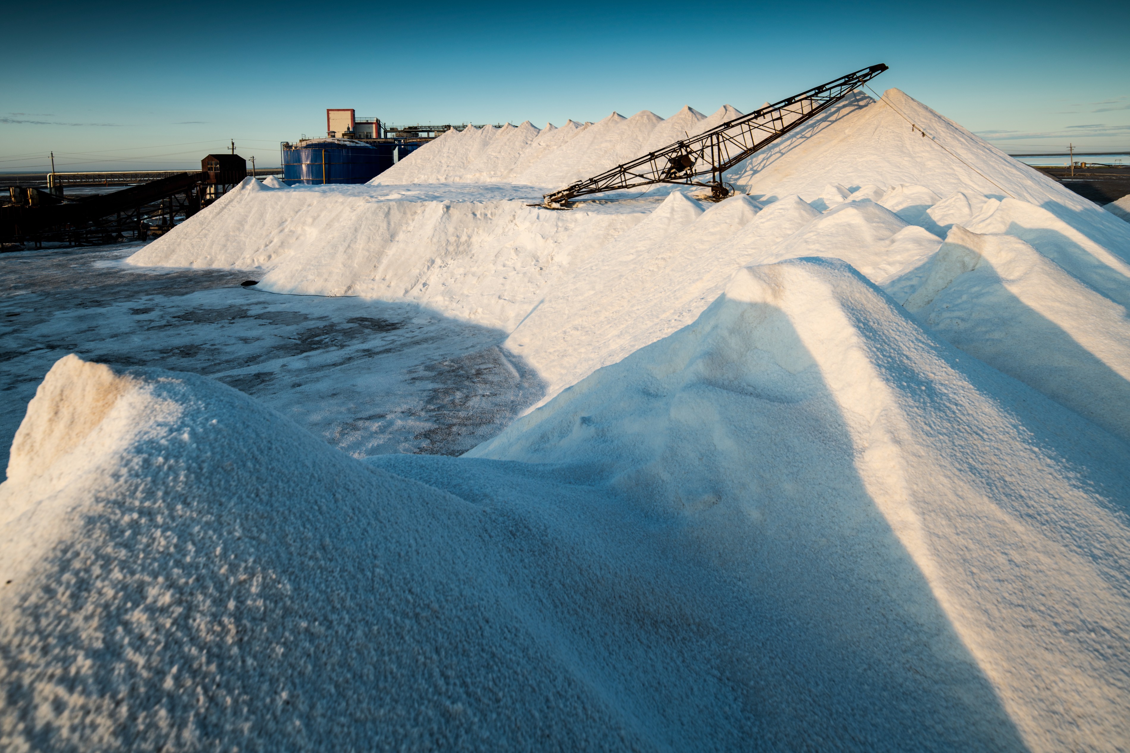 內(nèi)蒙古額吉淖爾制鹽有限公司2024年叉車裝卸倒運(yùn)作業(yè)外包服務(wù)項(xiàng)目【網(wǎng)上競價(jià)】
