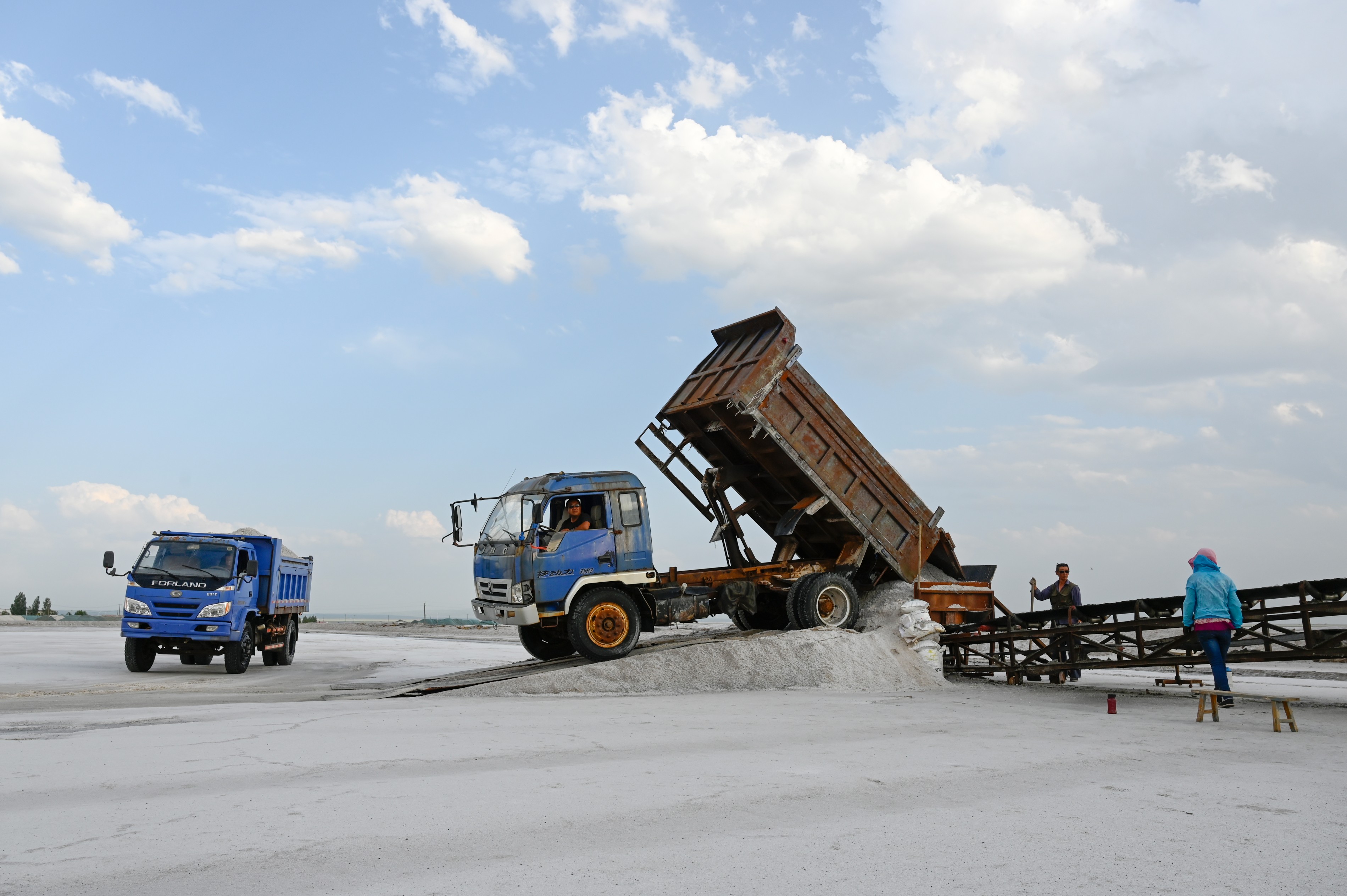 內(nèi)蒙古額吉淖爾制鹽有限公司2024年勞務(wù)服務(wù)采購(gòu)項(xiàng)目第二標(biāo)段：餐飲、保潔服務(wù)【網(wǎng)上競(jìng)價(jià)】（第1次重新采購(gòu)）